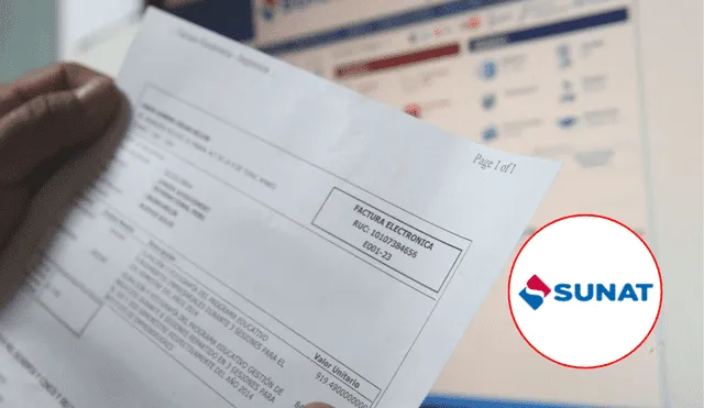 consulta ruc
